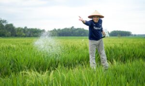 Tingkatkan Ketahanan Pangan, Pusri Edukasi Petani Gunakan NPK Tepat Sasaran