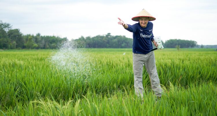 Tingkatkan Ketahanan Pangan, Pusri Edukasi Petani Gunakan NPK Tepat Sasaran