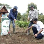 Dengan pupuk NPK Kopi dari Pusri, terciptalah ekosistem circular economy yang efisien untuk warga desa Tepat Benawa, Pagar Alam.