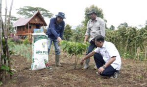 Dengan pupuk NPK Kopi dari Pusri, terciptalah ekosistem circular economy yang efisien untuk warga desa Tepat Benawa, Pagar Alam.