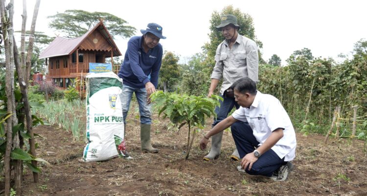 Dengan pupuk NPK Kopi dari Pusri, terciptalah ekosistem circular economy yang efisien untuk warga desa Tepat Benawa, Pagar Alam.