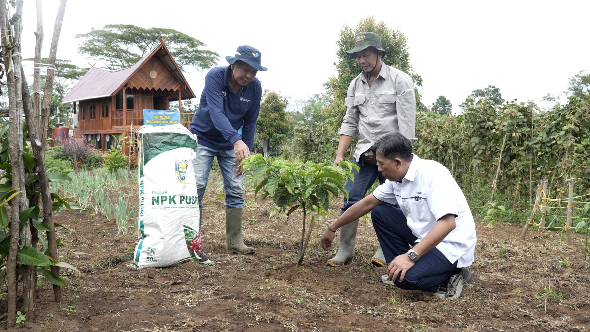 Dengan pupuk NPK Kopi dari Pusri, terciptalah ekosistem circular economy yang efisien untuk warga desa Tepat Benawa, Pagar Alam.
