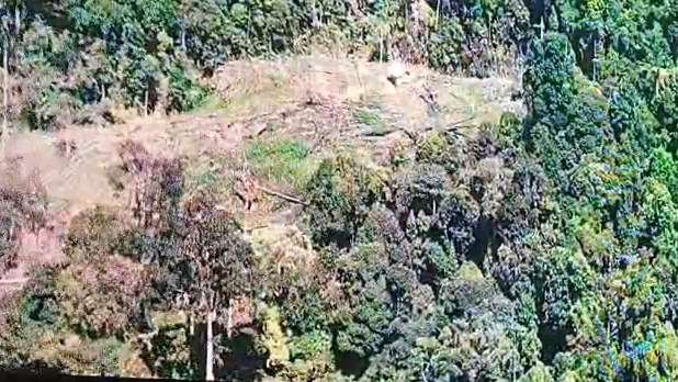 Pantauan dari Drone, Ladang ganja di Empat Lawang yang masuk kedalam hutan lindung Bukit Barisan.Fhoto: Istimewa 