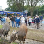 Secara simbolis, bantuan diserahkan oleh Direktur Operasi & Produksi PT Pusri Palembang, Sholikin, kepada perwakilan warga Kampung Sehati di Lapangan Hijau depan Kantor TJSL PT Pusri Palembang, Senin (25/5/26). Fhoto: Istimewa
