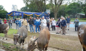 Secara simbolis, bantuan diserahkan oleh Direktur Operasi & Produksi PT Pusri Palembang, Sholikin, kepada perwakilan warga Kampung Sehati di Lapangan Hijau depan Kantor TJSL PT Pusri Palembang, Senin (25/5/26). Fhoto: Istimewa