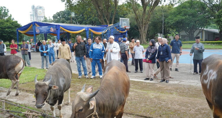Secara simbolis, bantuan diserahkan oleh Direktur Operasi & Produksi PT Pusri Palembang, Sholikin, kepada perwakilan warga Kampung Sehati di Lapangan Hijau depan Kantor TJSL PT Pusri Palembang, Senin (25/5/26). Fhoto: Istimewa