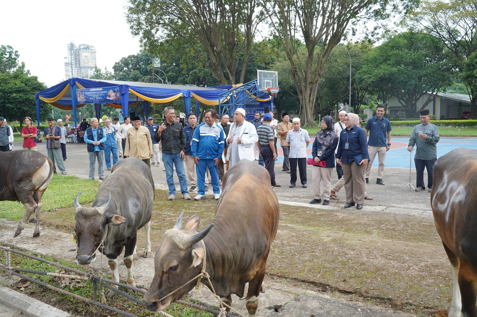 Secara simbolis, bantuan diserahkan oleh Direktur Operasi & Produksi PT Pusri Palembang, Sholikin, kepada perwakilan warga Kampung Sehati di Lapangan Hijau depan Kantor TJSL PT Pusri Palembang, Senin (25/5/26). Fhoto: Istimewa