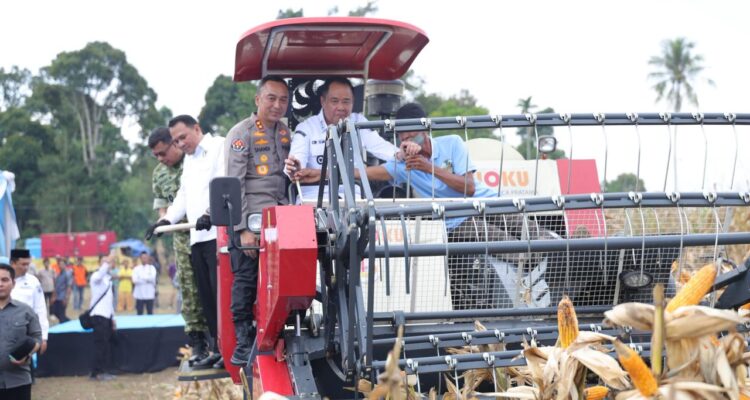 Kapolda Sumsel, Irjen Pol Sandi Nugroho bersama Wakil Gubernur Sumsel, Cok Ujang, gunakan traktor saat panen raya jagung di Oku Selatan, Sabtu (16/5). Fhoto: Istimewa
